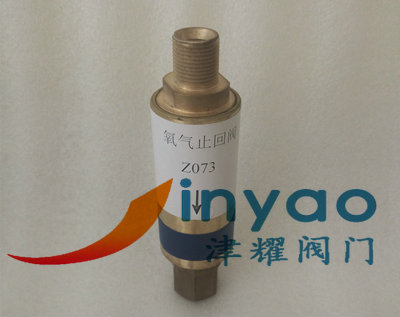 氧气止回阀Z073